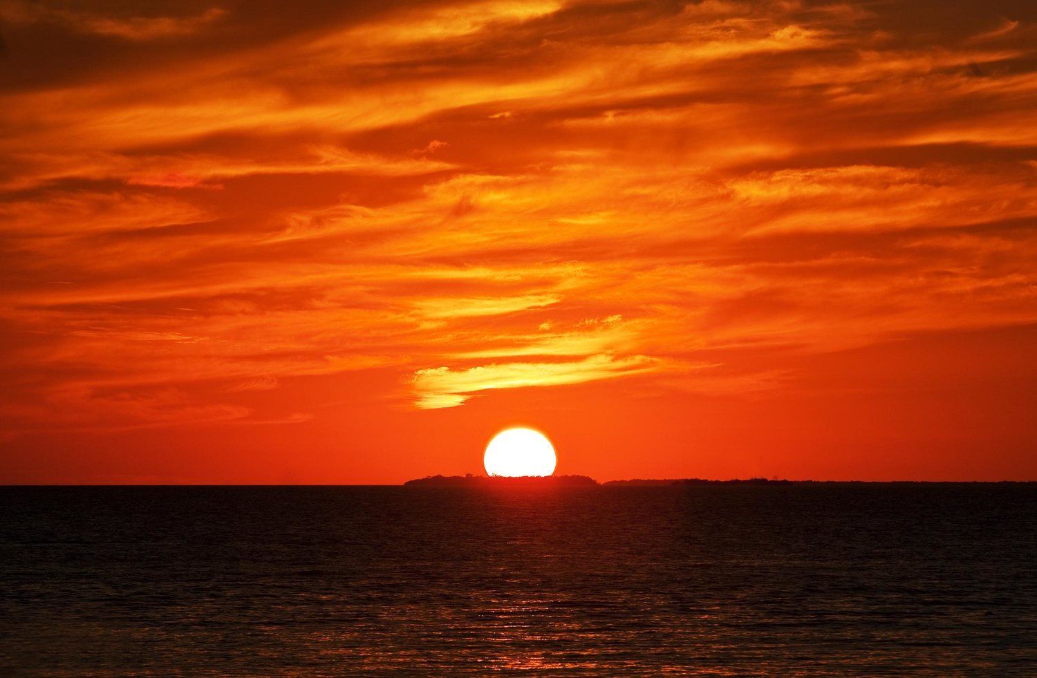 Sunset Key Cottages Ки-Уэст Удобства фото